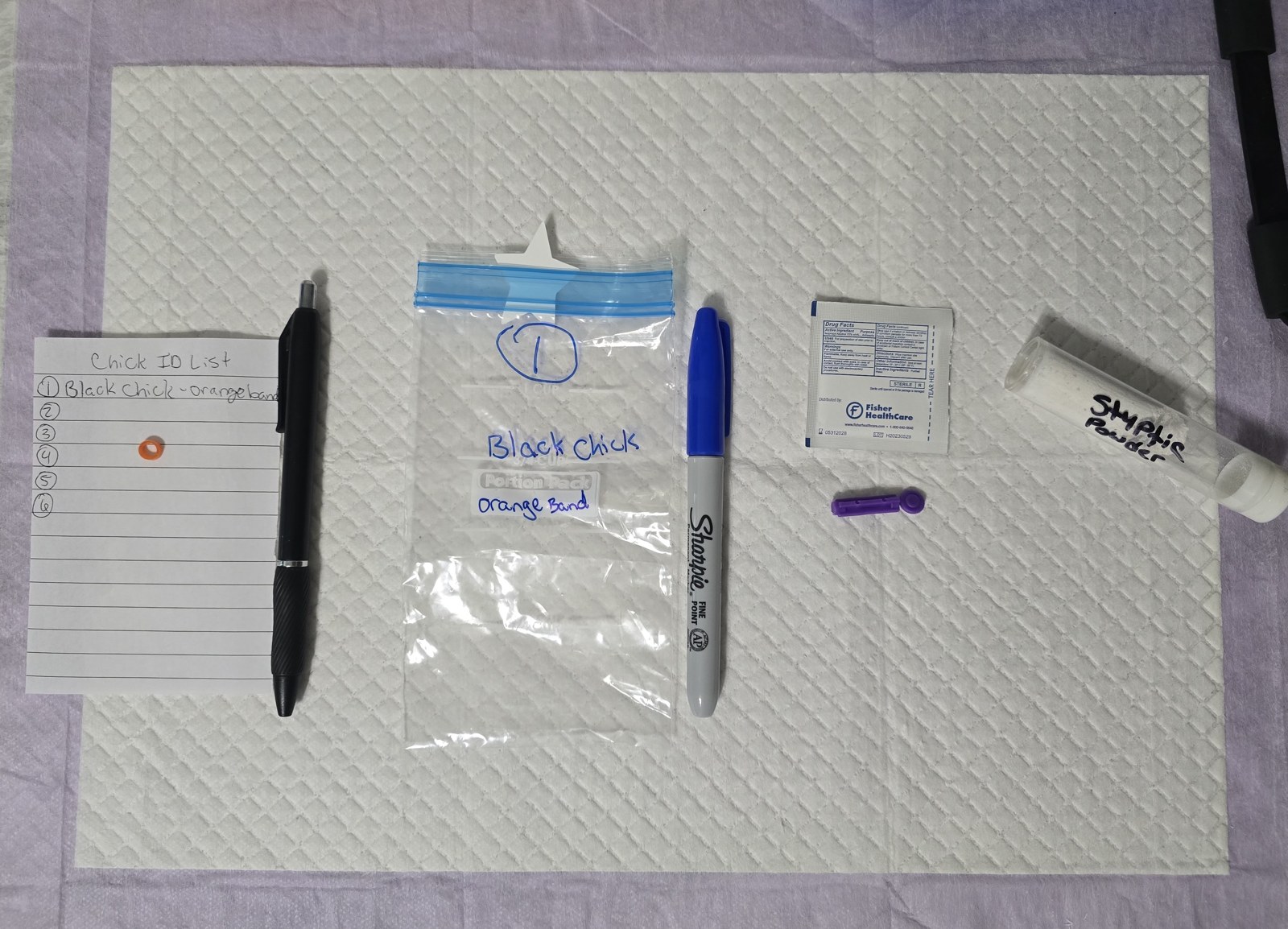 Collection supplies arranged together with a labeled sample bag and bird identification list